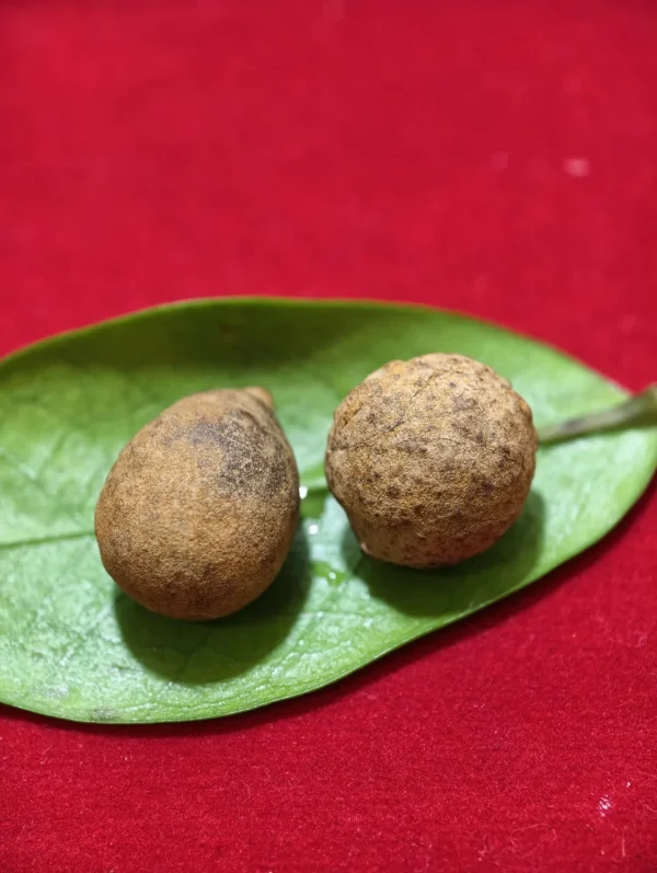 Mustika Kebal Suro Gedug