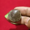 Mustika Kebal Syekh Dombo Mustika Kebal Syekh Dombo