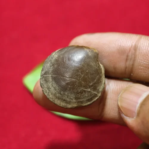 Mustika Kebal Syekh Dombo Mustika Kebal Syekh Dombo