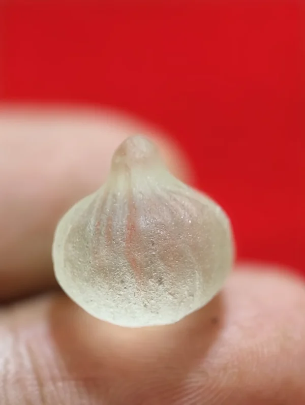 Mustika Kelapa Lanang Nunggal