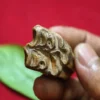 Mustika Keramat Kyai Jalak Lawu