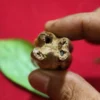 Mustika Keramat Kyai Jalak Lawu