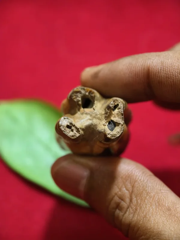 Mustika Keramat Kyai Jalak Lawu