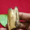 Mustika Keramat Kyai Jalak Lawu