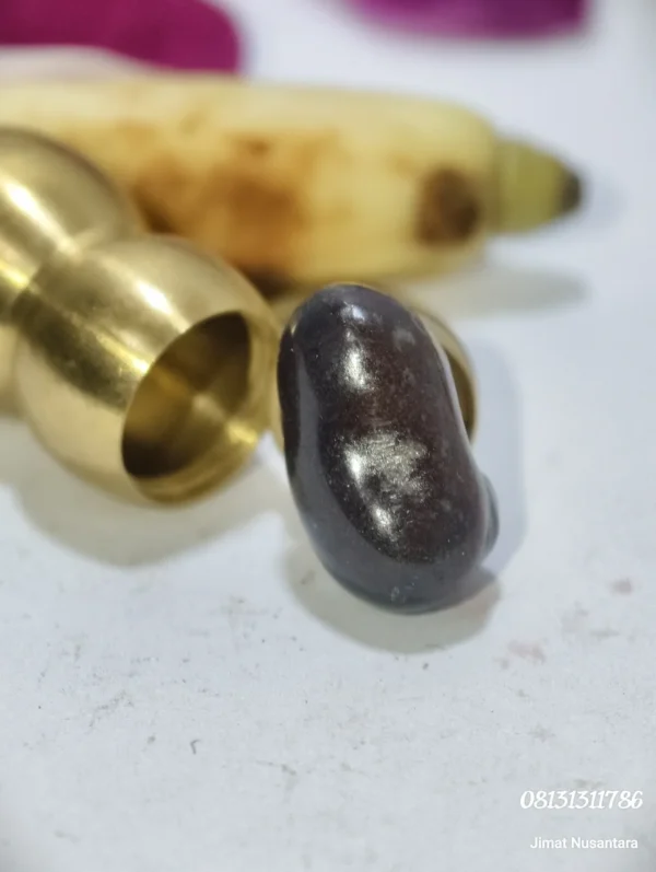 Mustika Naga Penjaga Laut Kidul