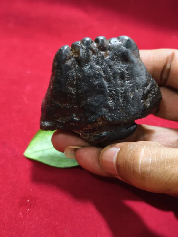 Mustika Penunduk Kyai Liung Ghaib