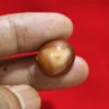 Mustika Poncodriyo Penarik Rezeki & Kepekaan Batin Ampuh
