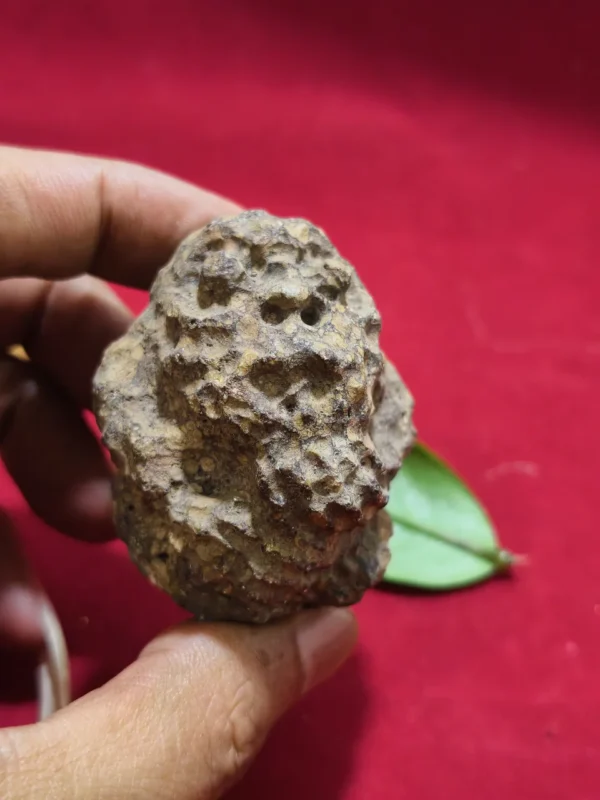 Mustika Raja Gundala Mustika Raja Gundala