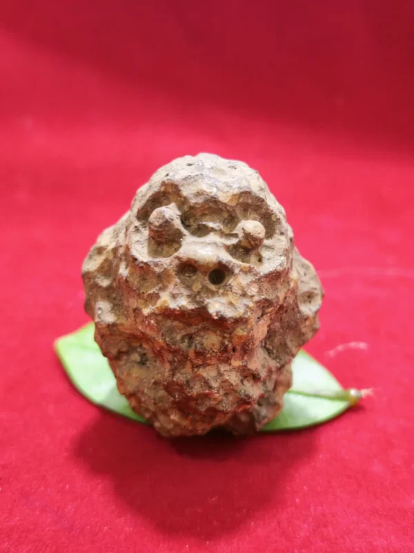 Mustika Raja Gundalaa Mustika Raja Gundala