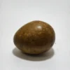 Mustika Telor Kocak Kalasekti Mustika Telor Kocak Kalasekti