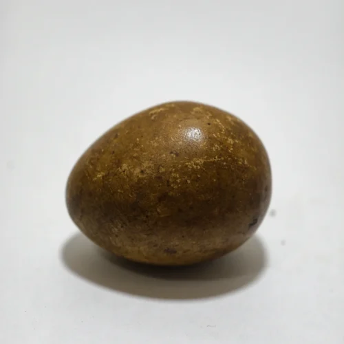 Mustika Telor Kocak Kalasekti Mustika Telor Kocak Kalasekti