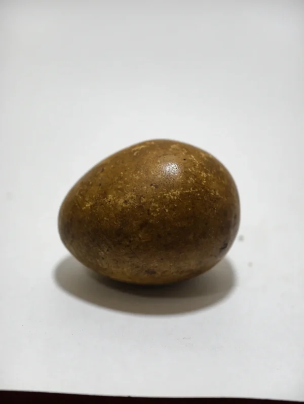 Mustika Telor Kocak Kalasekti Mustika Telor Kocak Kalasekti