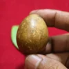 Mustika Telor Kocak Kalasekti antik Mustika Telor Kocak Kalasekti