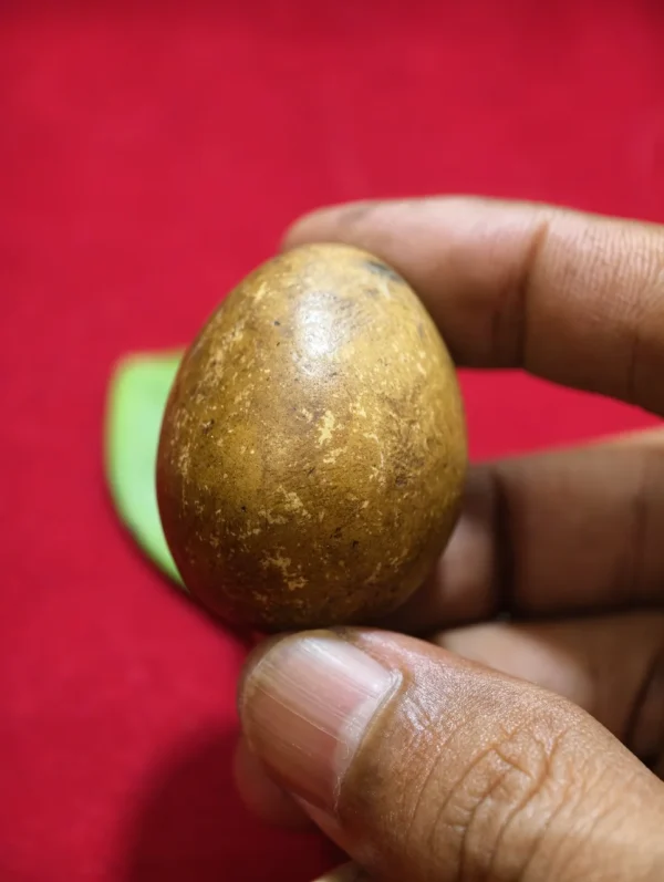Mustika Telor Kocak Kalasekti antik Mustika Telor Kocak Kalasekti