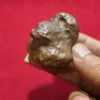 Mustika Ular Asli Mustika Ular Asli