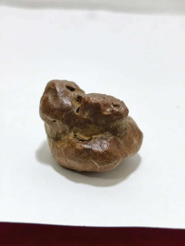 Mustika Ular Asli gaib Mustika Ular Asli