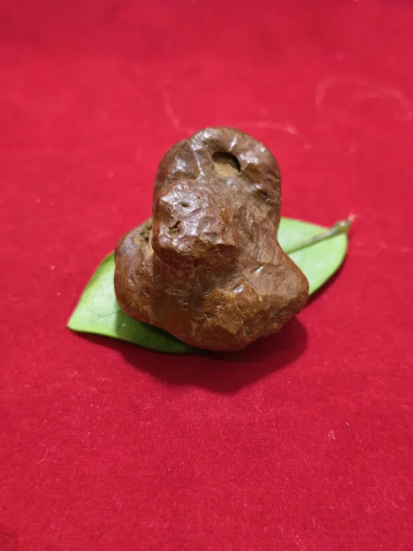 Mustika Ular Asli sepuh Mustika Ular Asli - Pesugihan Putih & Pagar Bisnis