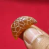 Mustika Ulat Sutra Emas Mustika Ulat Sutra Emas