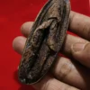 Pusaka Pelet Tundung Bawuk Asli