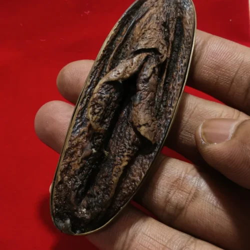 Pusaka Pelet Tundung Bawuk Asli