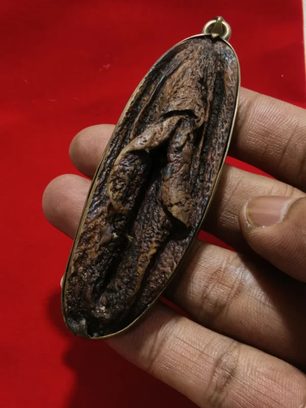 Pusaka Pelet Tundung Bawuk Asli
