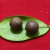Sepasang Mustika Kebal Alam