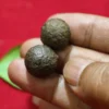 Sepasang Mustika Kebal Alam