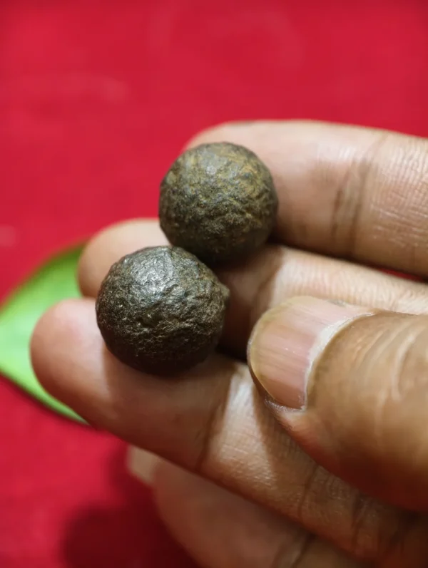 Sepasang Mustika Kebal Alam