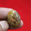 Mustika Siluman Macan